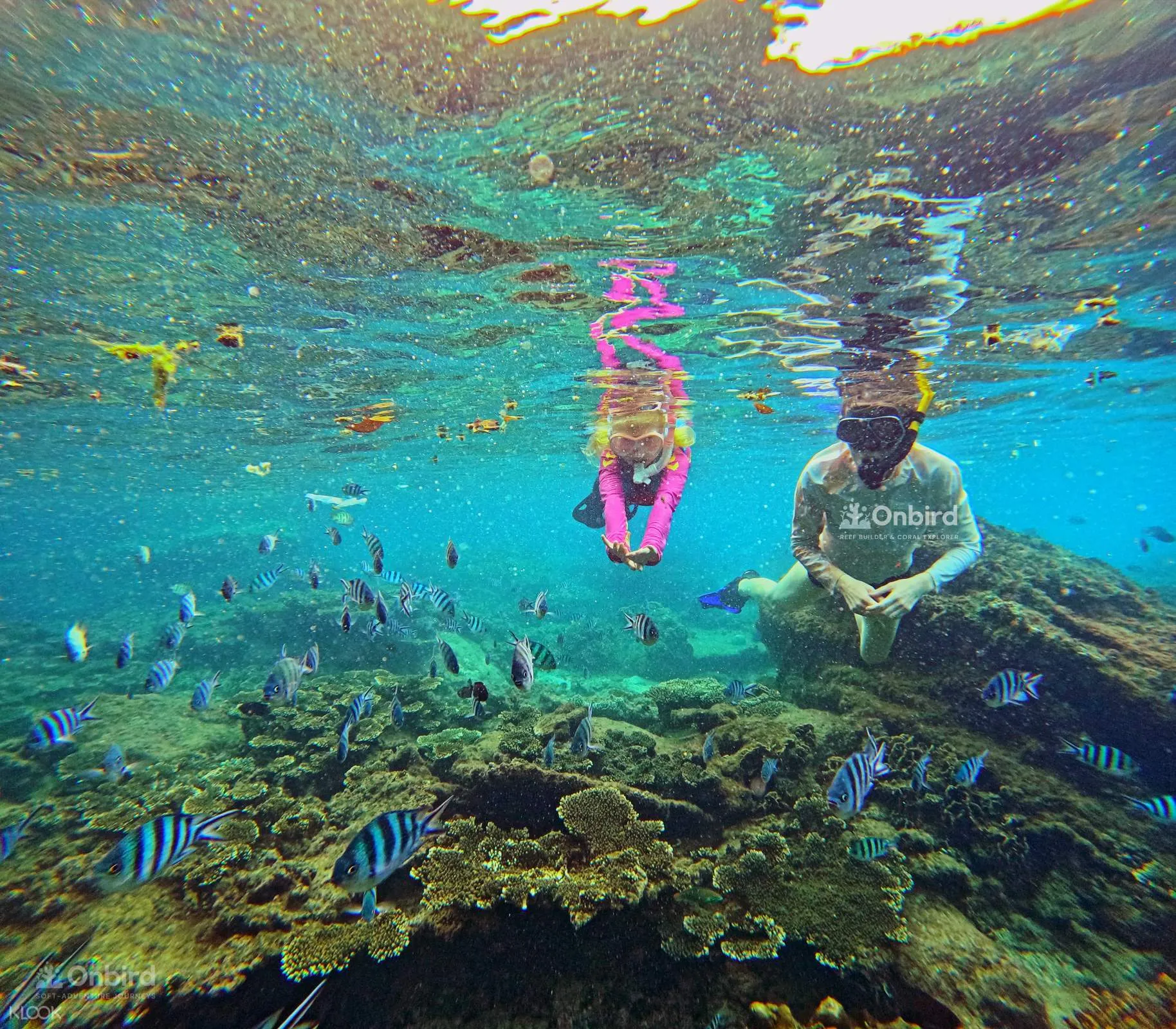 Tour Lặn Biển Nhóm Nhỏ Tại Phú Quốc Bằng Tàu Cao Tốc 2